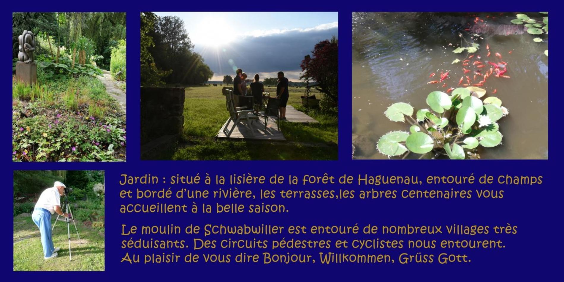 Gite L'Amarante Betschdorf Екстер'єр фото